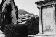 ORAN 02428
